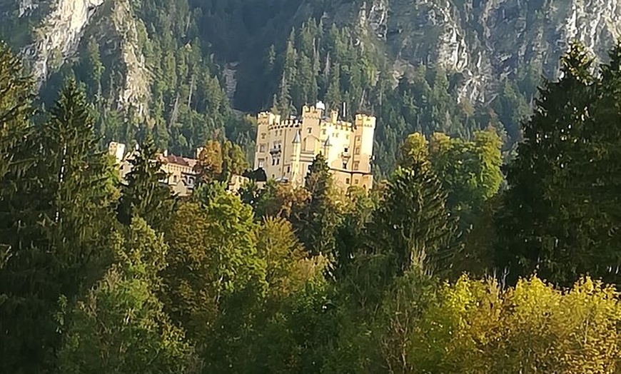 Image 8: Halbtagestour privat von München zum Schloss Neuschwanstein