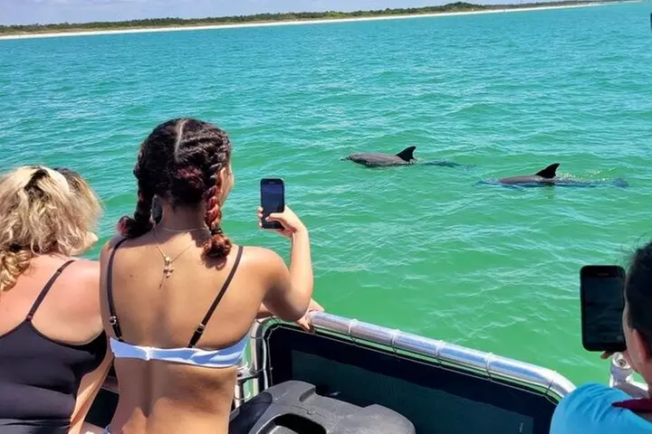 2.5 Hour Shell Key Island Adventure Including Dolphins And Shells