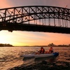 Image 1: Sydney Sunrise Kayak Tour Opera House and Harbour Bridge