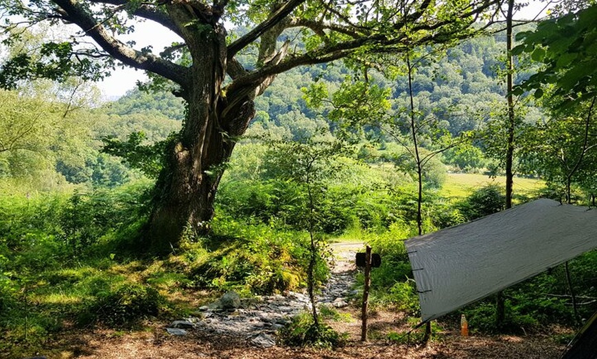 Image 2: Full Day Bushcraft Course with Elemental Nomad