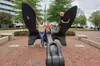 Wacky Walk Adventure Game - Broken Arrow, OK
