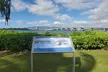 Oahu: Pearl Harbor National Memorial - ETOHI - Second Medium