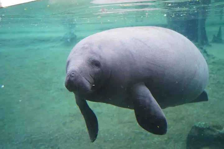 ZooTampa at Lowry Park Admission Ticket