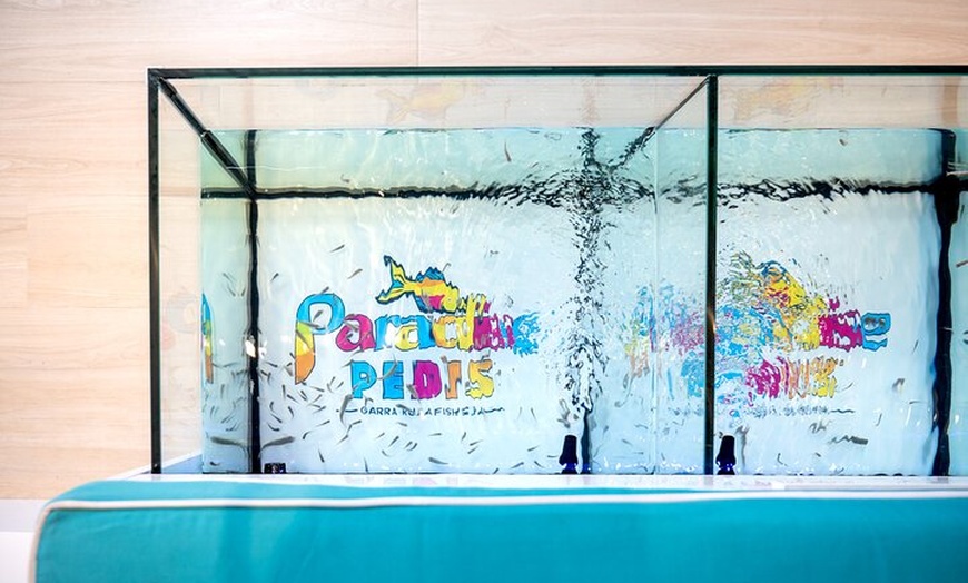 Image 6: Fish, Fun & Feet – Caribbean's Largest Fish Spa Experience!
