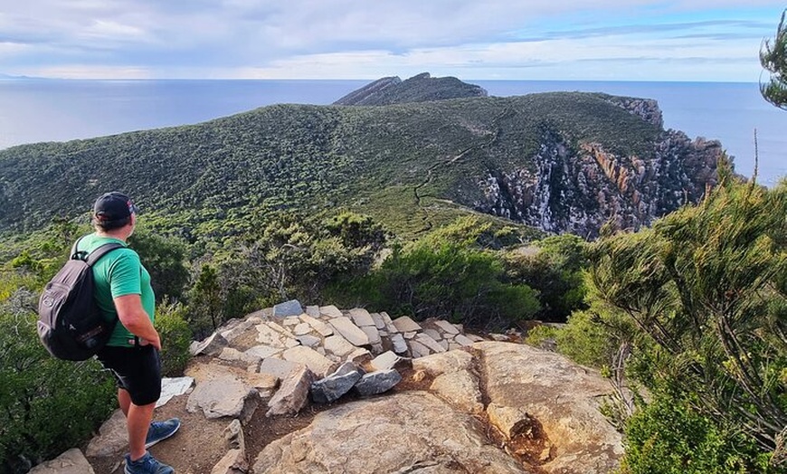 Image 8: Hobart: Cape Hauy Adventure Hike - rugged cliffs & wild beauty