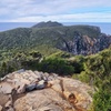 Image 8: Hobart: Cape Hauy Adventure Hike - rugged cliffs & wild beauty