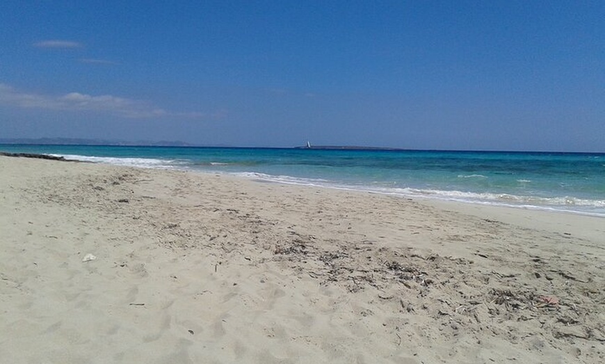 Image 3: Ibiza Excursión a Formentera en Bici con Traslado y Fast Ferry