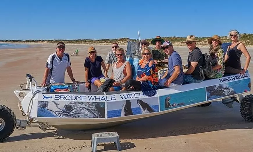 Image 5: Whale Watching Sunset Cruise from Broome