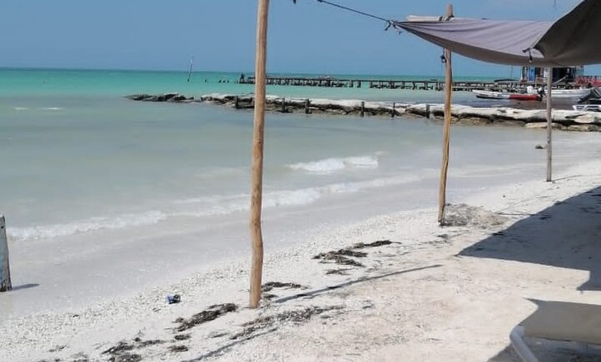 Image 10: Isla Holbox Day Tour from Cancun with Lunch Included