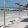 Image 10: Isla Holbox Day Tour from Cancun with Lunch Included
