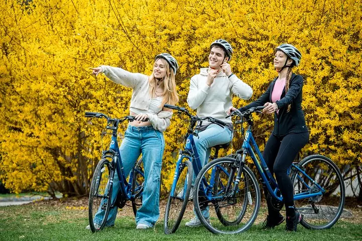 Bike Rental-Easy GO NYC - Primary Image