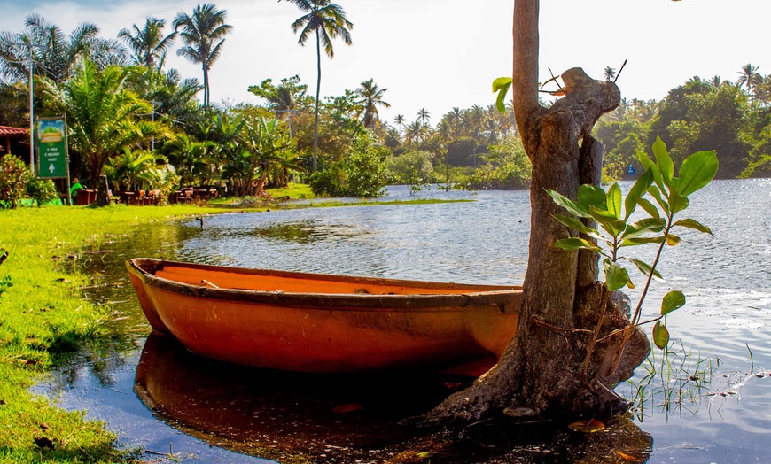 Image 18: ✈ BRÉSIL | De Rio à Salvador de Bahia - Brésil : entre Nature et Cu...