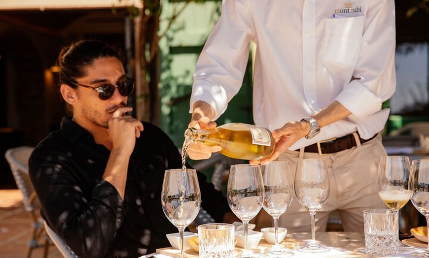 Image 7: Degustación Privada de Vinos y Cava Premium de Barcelona con Tapas