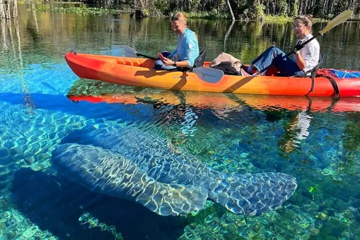 Silver Springs Jungle Kayaking and Paddleboarding