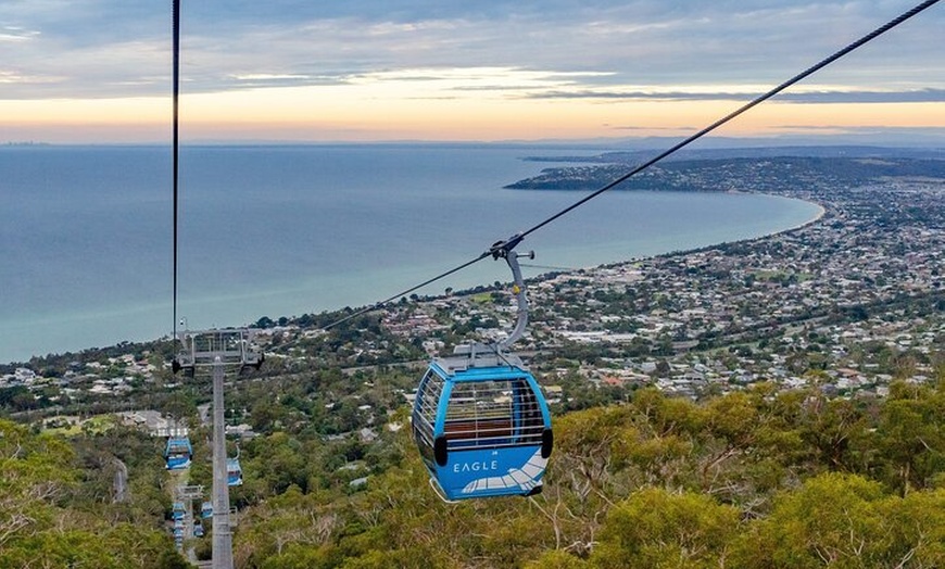 Image 14: Explore Mornington Wildlife Wine and Hot Springs