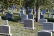 Visit Arlington National Cemetery with one of DC's best guides! - Second Medium