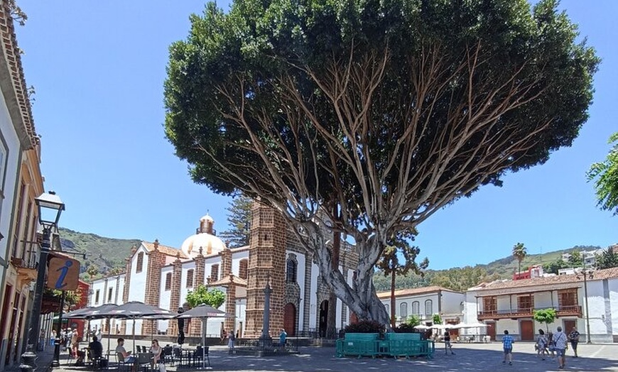 Image 9: Descubre Gran Canaria: Tour Privado Pueblos Icónicos y Picnic