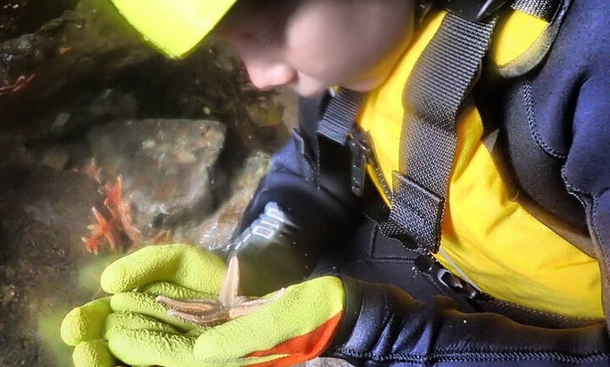 Image 7: Tenby Coasteering Adventure with expert guides