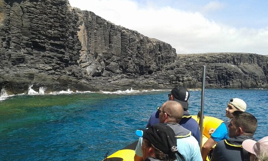 Image 7: Avistamiento de Delfines y Baño en Playa de Papagayo Lanzarote