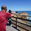 Image 6: Full-Day Great Ocean Road and 12 Apostles Tour