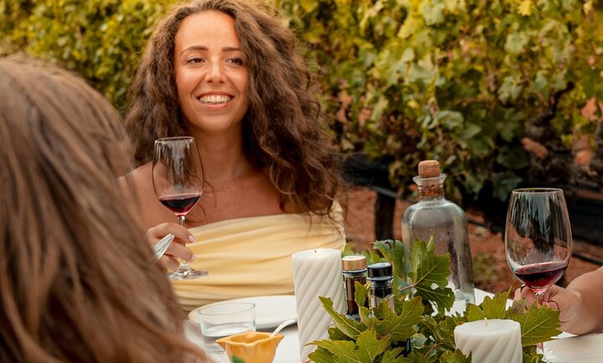 Image 11: Ibiza : Cata privada de vinos y aceites de oliva y Tapas y transporte