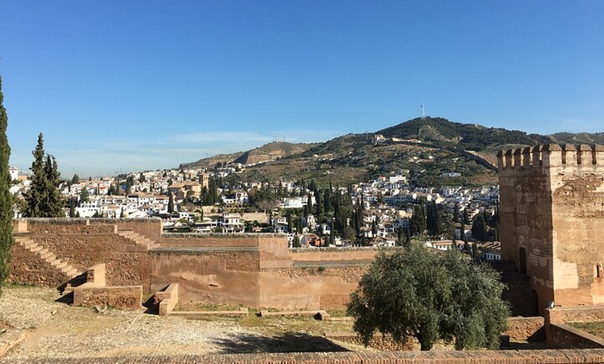 Image 15: Tour Guiado en la Alhambra de Granada + Espectáculo de Flamenco