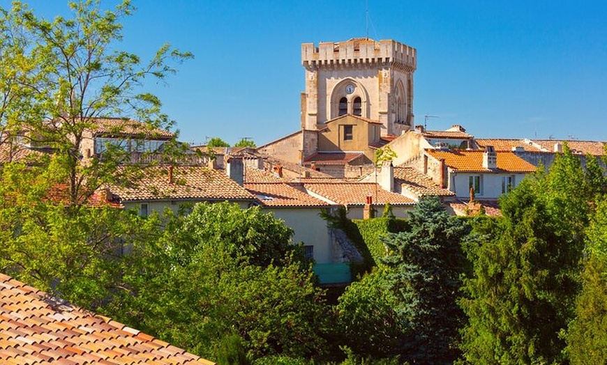 Image 5: Bonjour Avignon : Private 2 - Heure Intro City Walk avec Guide Local