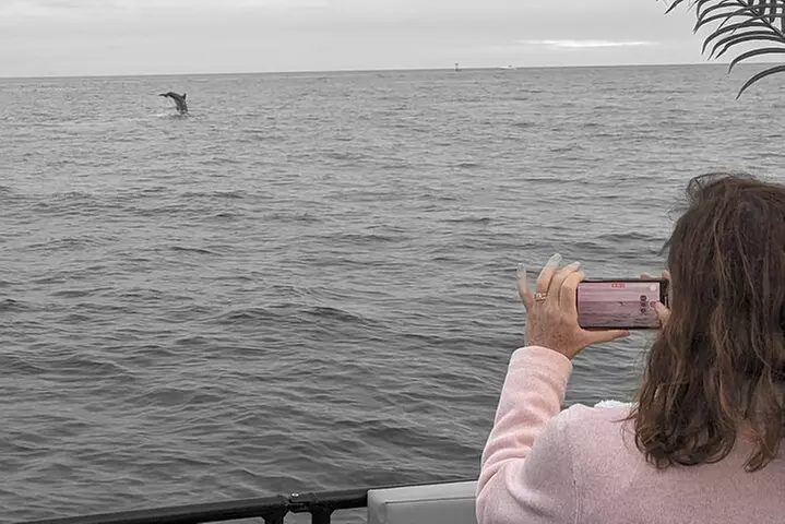 2 hour Tiki Pub Sensational Dolphin Sunset Cruise (Adults only)