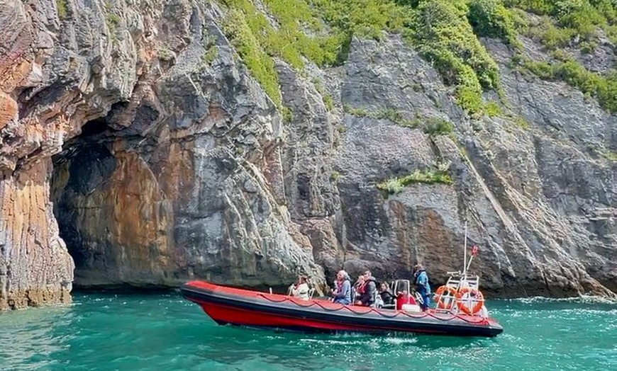 Image 2: Torquay Coastal RIB Seafari