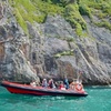 Image 2: Torquay Coastal RIB Seafari