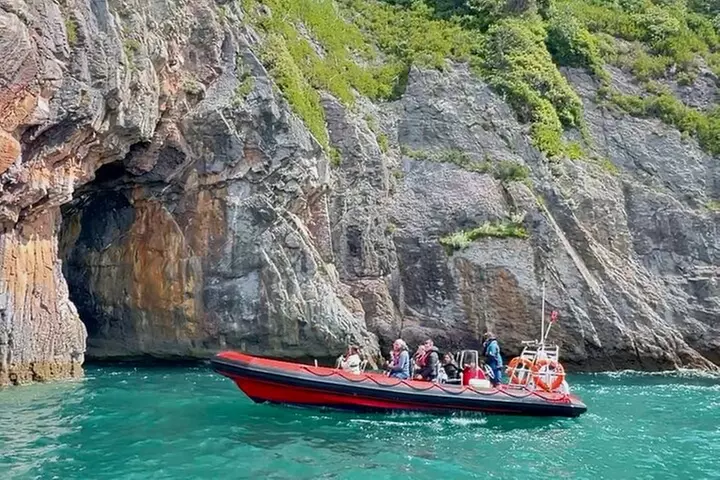 Torquay Coastal RIB Seafari