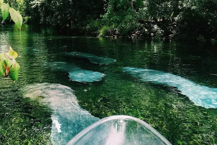 Glass Bottom Kayak Tours of Silver Springs