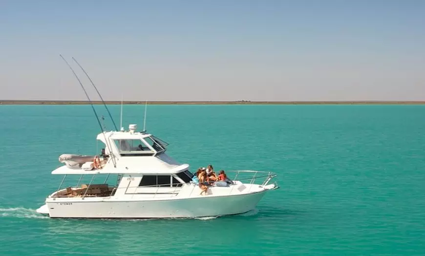 Image 7: Whale Watching Sunset Cruise from Broome