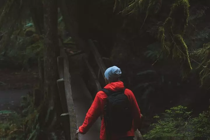 Best of Olympic National Park from Seattle: All-Inclusive Small-Gro...