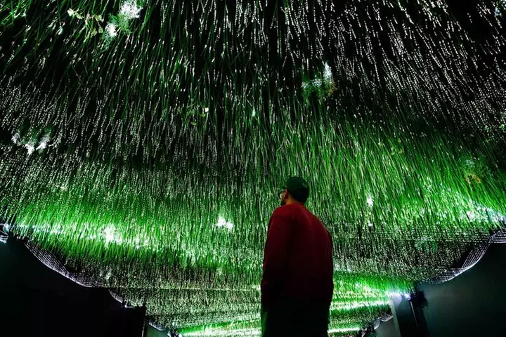 Art Club is an Immersive Museum of New Media Artworks at POST.