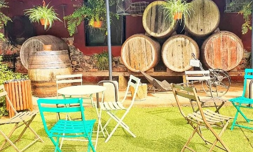 Image 15: Visita a la Bodega, Museo del Vino y Cata en Gran Canaria