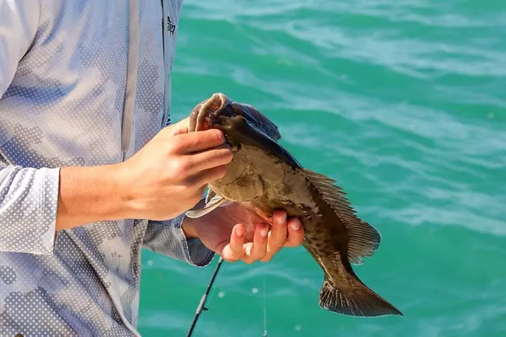 Fishing Charters in Clearwater Beach Florida