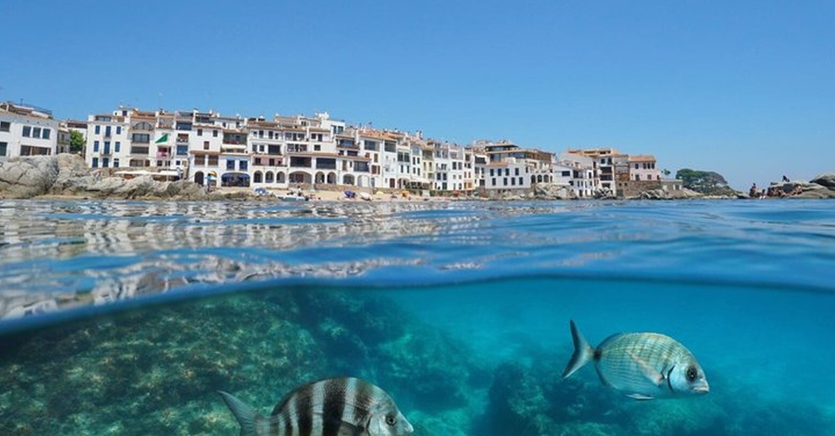 Excursión en barco VIP con navegación y snorkel en Llafranc, Girona