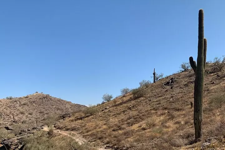 Phoenix South Mountain Hiking Tour Experience - Primary Image