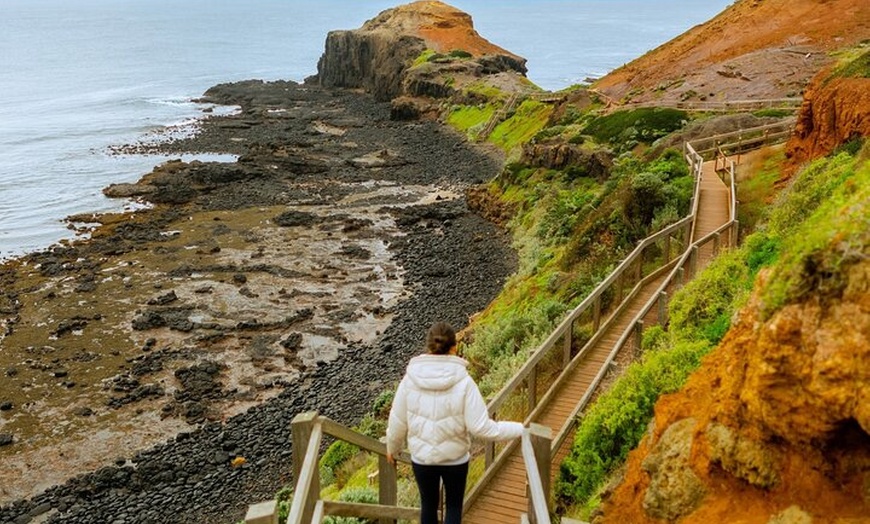 Image 2: Mornington Peninsula Private Day Tour