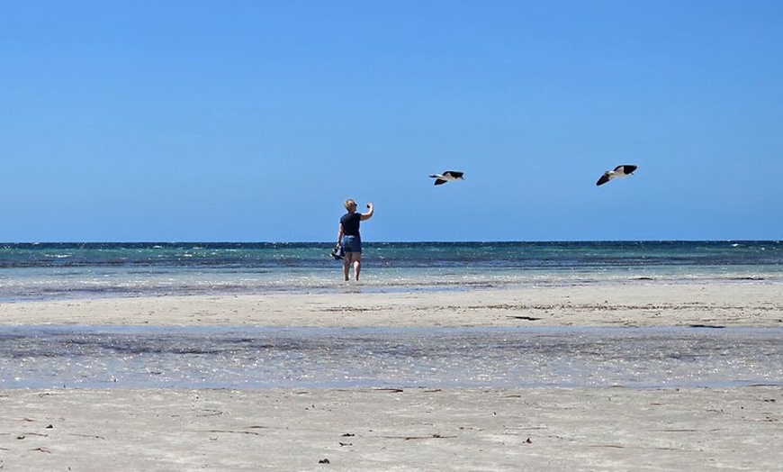 Image 33: Adelaide: Kangaroo Island 2-Day Epic Adventure Small Group tour