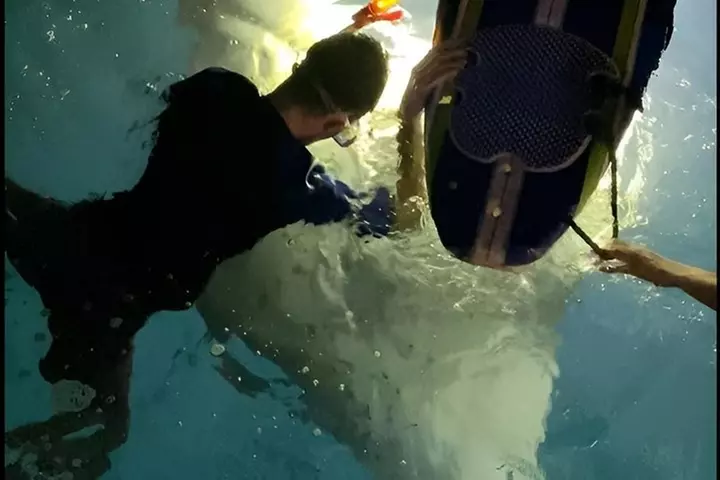 Manta Ray Night Snorkel at Kona, Big Island