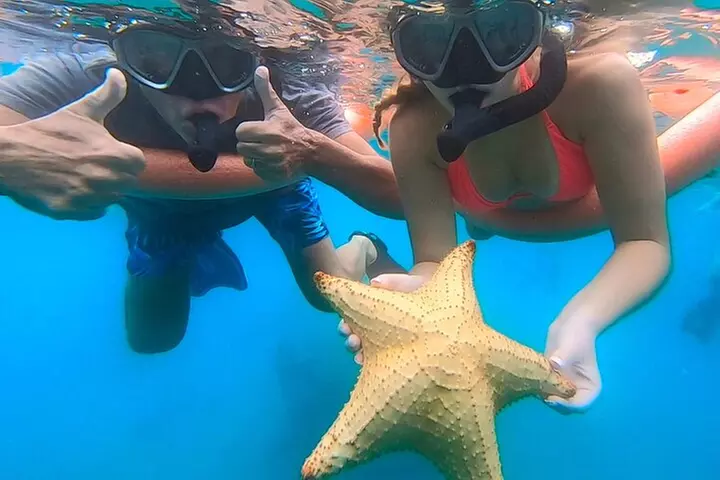2 ½ - Hour Guided Snorkel Tour of Phil Foster park, Free Videos!