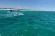 2 Hours Shell Island Jet Ski Tour - Second Medium