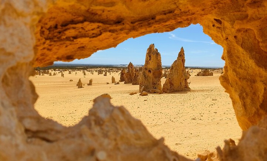 Image 6: Pinnacles+Lancelin Sand Dune Impression Day Tour from Perth
