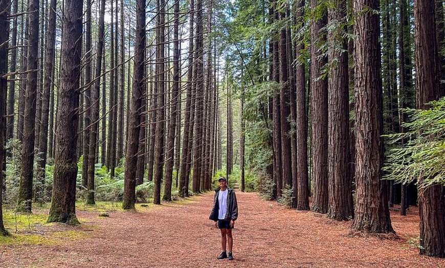 Image 8: Puffing Billy, Forest Trails and Yarra Valley Discovery Tour