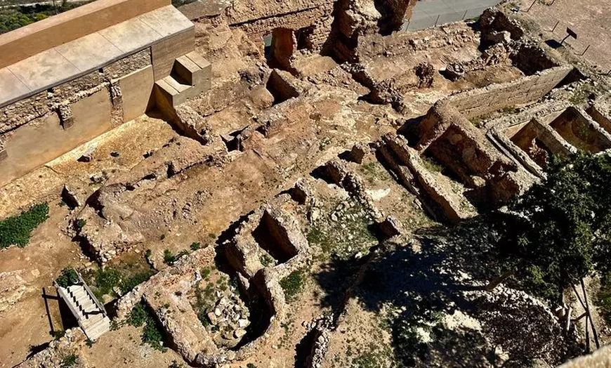 Image 9: Alicante: Ruta del Vino con 3 Catas & Castillo La Mola