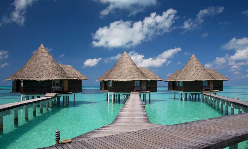 Image 9: ✈ MALDIVES | Dhunikolhu - Coco Palm Dhuni Kolhu 5* - Tout inclus