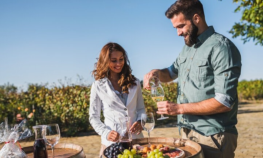 Image 5: Melbourne Puffing Billy Penguin Yarra Valley Wine choc Tour