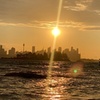 Image 7: Sydney: Golden Hour City Escape with Sunset, Picnic and Photos